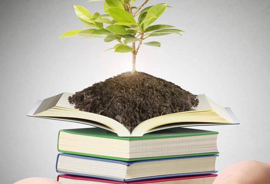 Upcoming Women's Classes Autumn 2017