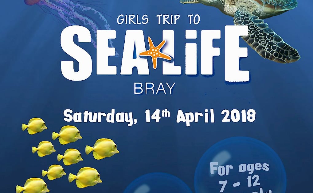 Girls Youth Club Trip to SeaLife Bray