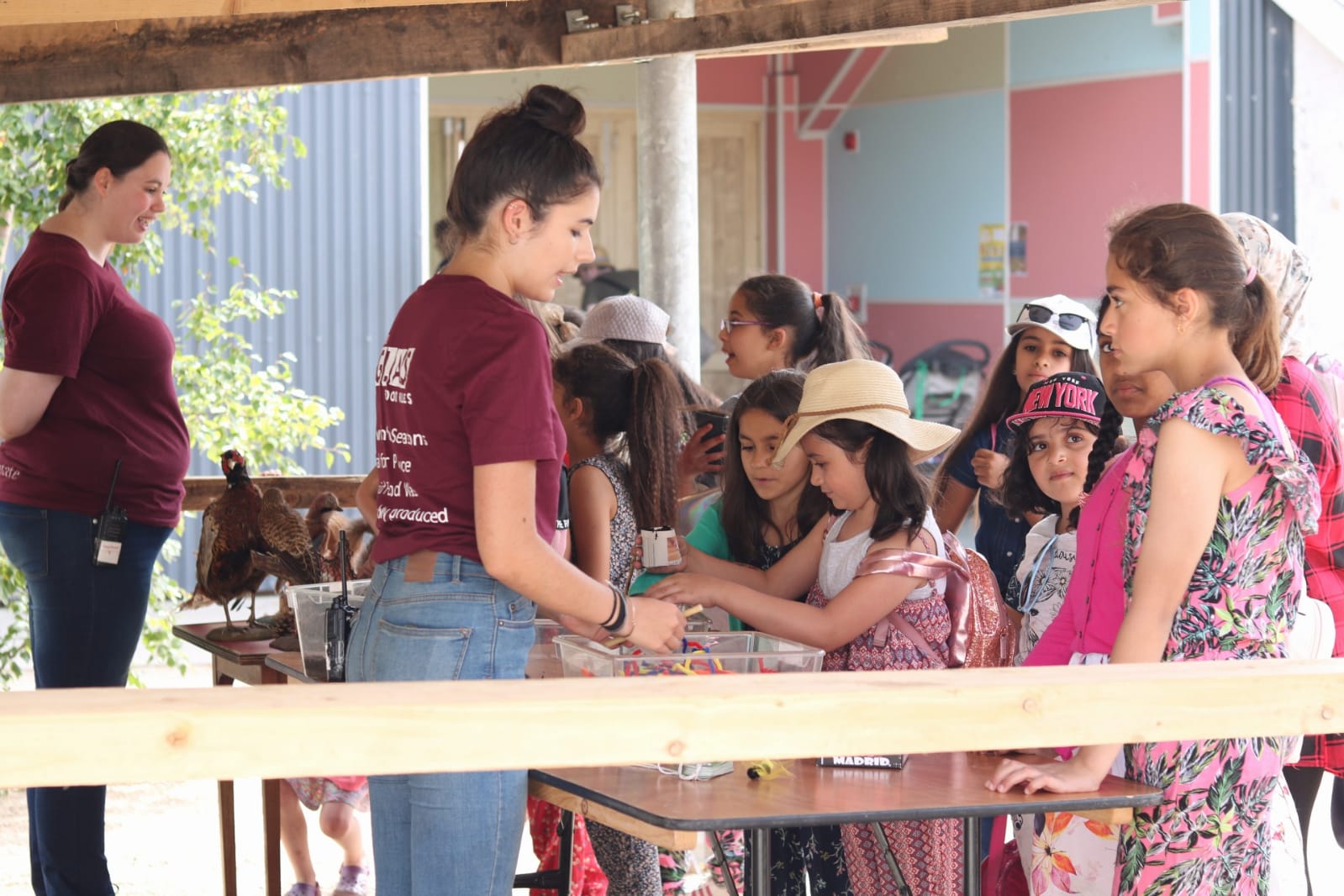 Girls Youth Club Update Summer 2018