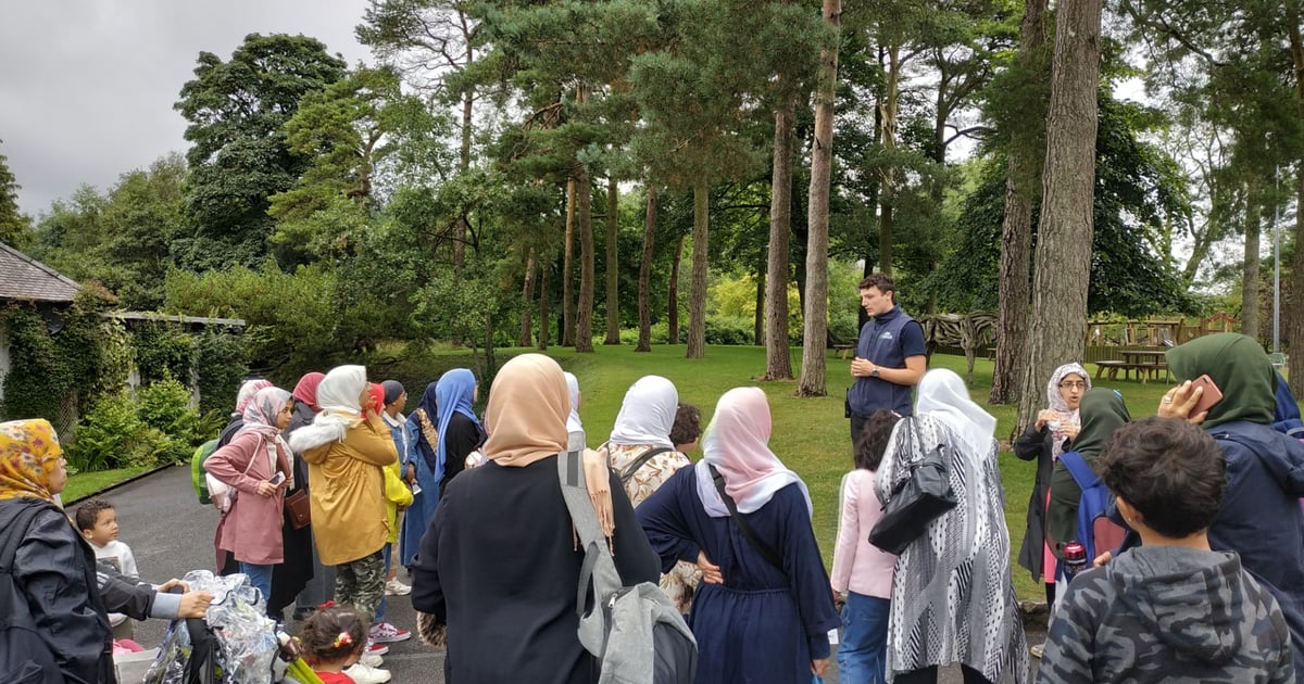 Update: Women's Trip to the Irish National Stud and Japanese Gardens