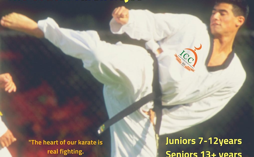 Update: Kyokoshinkai Training.