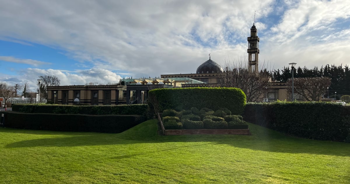 Press Release: Condemnation of Heinous Attack on Innocent Children and their Carer in Dublin