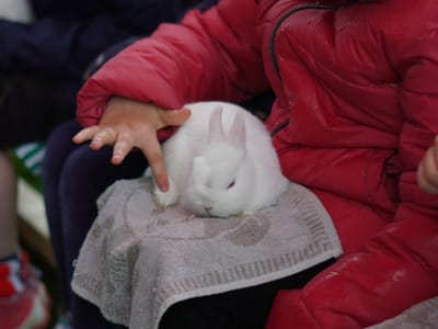 Update: Multi Cultural Day 2023 - Gallery image