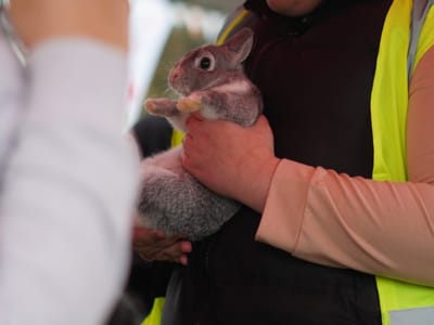 Update: Multi Cultural Day 2023 - Gallery image