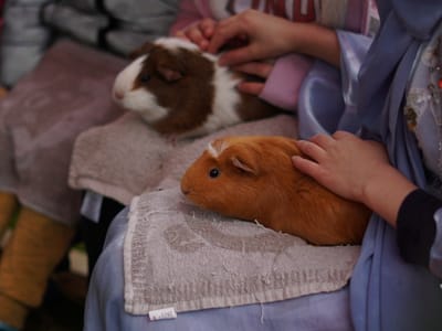 Update: Multi Cultural Day 2023 - Gallery image