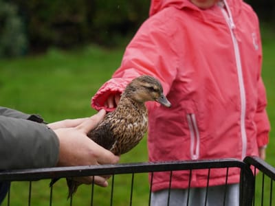 Update: Multi Cultural Day 2023 - Gallery image