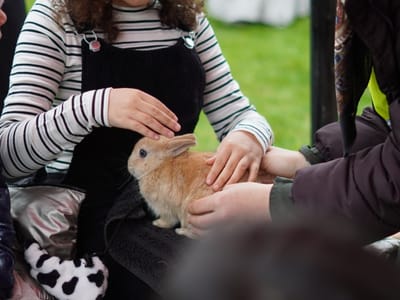 Update: Multi Cultural Day 2023 - Gallery image