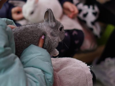 Update: Multi Cultural Day 2023 - Gallery image