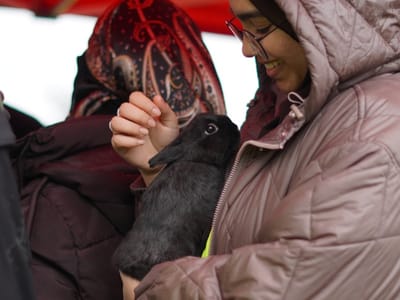 Update: Multi Cultural Day 2023 - Gallery image