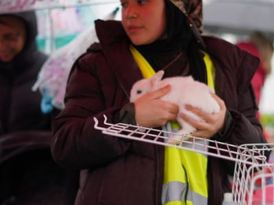 Update: Multi Cultural Day 2023 - Gallery image