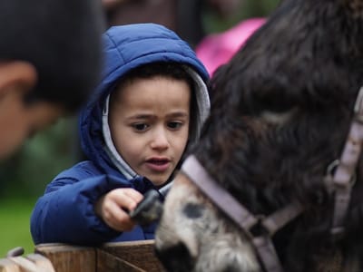 Update: Multi Cultural Day 2023 - Gallery image