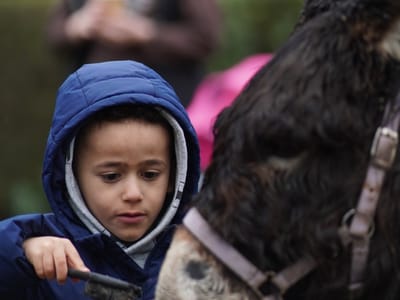 Update: Multi Cultural Day 2023 - Gallery image