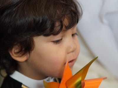 Photo Gallery: Eid Al Fitr 2023/1444 - Gallery image