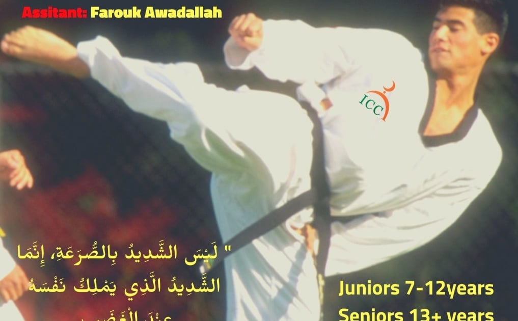 Karate Kyokushinkai Training for 2024/2025 school year