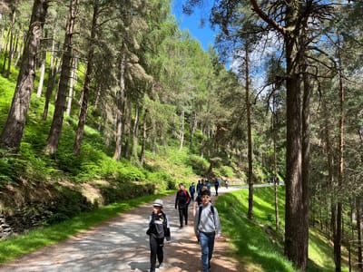 Update: Boys Hike June 8th - Gallery image