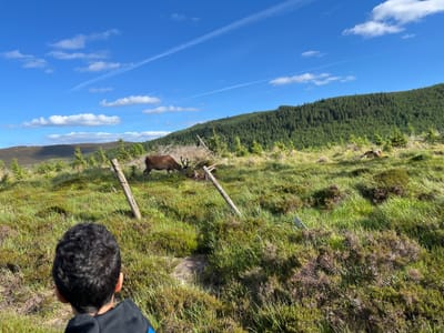 Update: Boys Hike June 8th - Gallery image