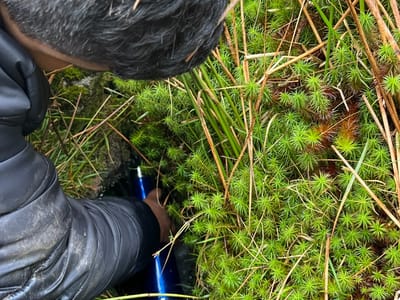 Conquering Djouce Mountain: Discovering Allah’s Beautiful Creation - Gallery image