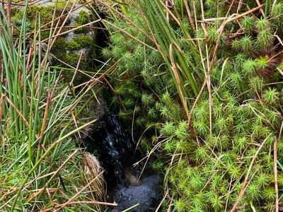 Conquering Djouce Mountain: Discovering Allah’s Beautiful Creation - Gallery image