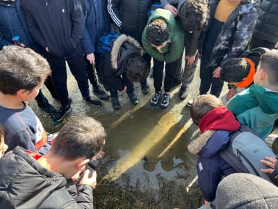 Discovering Allah’s Creation: A Hike to Remember - Gallery image