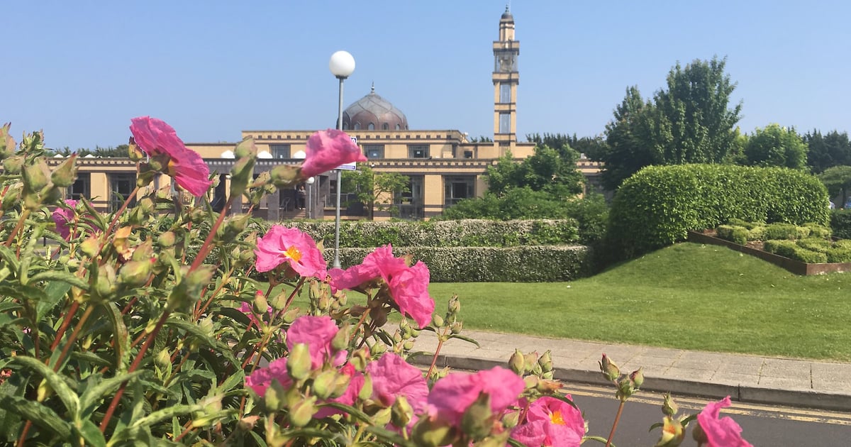 Nurulhuda Quranic School represented at International Quranic Competition in Egypt