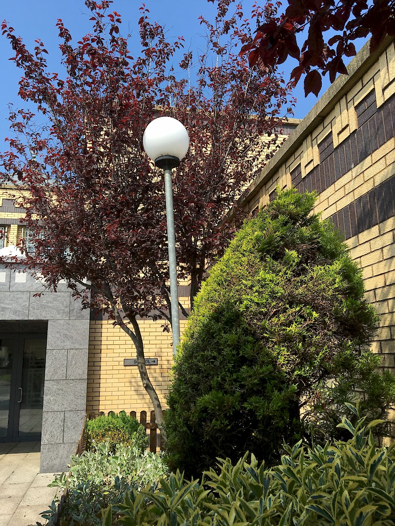 Funeral Services / Mortuary